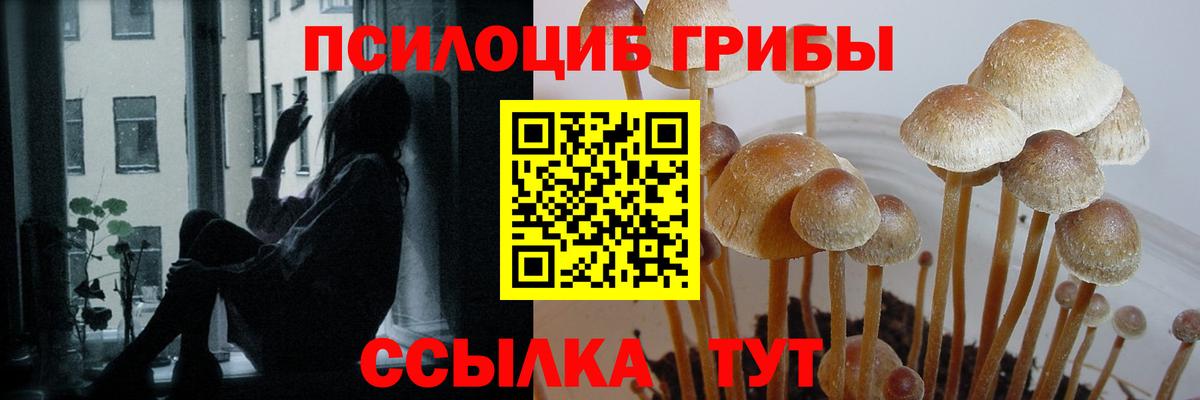 Полевской  Псилоцибиновые грибы Magic Shrooms  Псилоцибиновые грибы прущие грибы  Вход с VPN 
